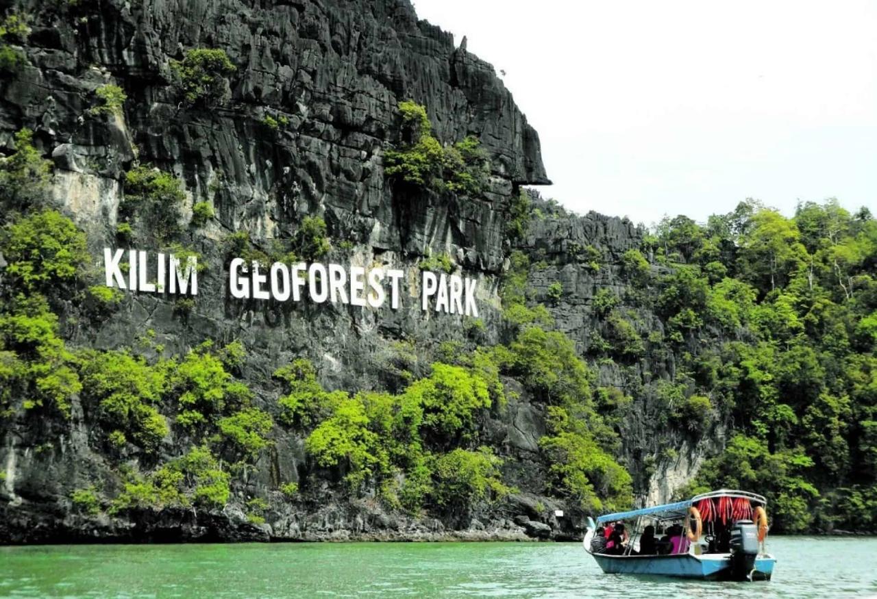 Jelajahi Hutan Mangrove Langkawi: Ekowisata yang Menakjubkan